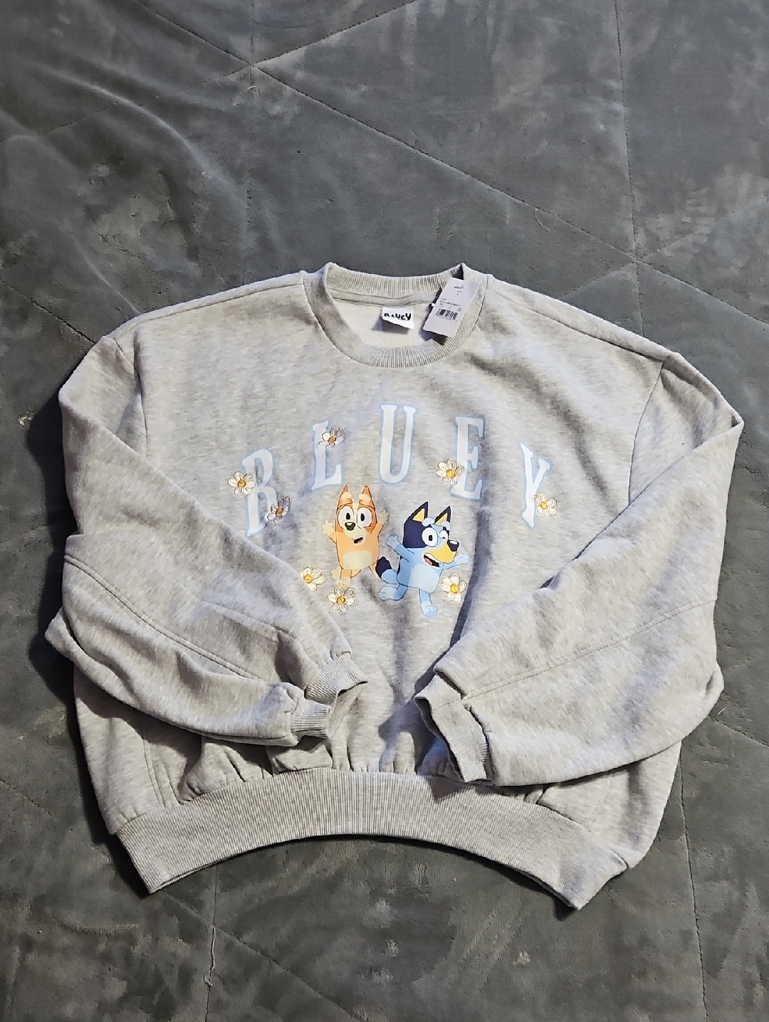 Bluey Sweater